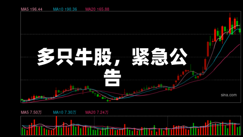 多只牛股，紧急公告-第3张图片