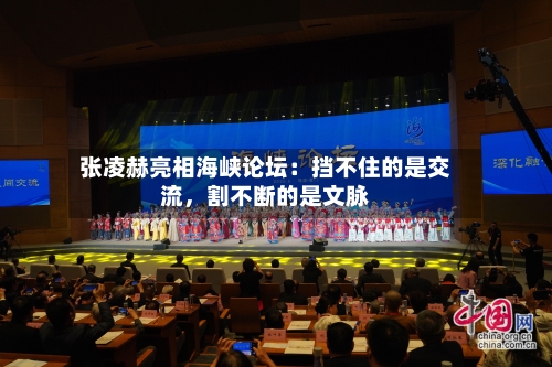 张凌赫亮相海峡论坛：挡不住的是交流，割不断的是文脉-第3张图片