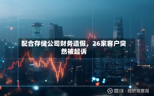 配合存储公司财务造假，26家客户突然被起诉-第2张图片