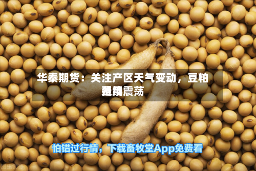 华泰期货：关注产区天气变动，豆粕费用延续震荡-第2张图片