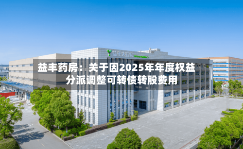 益丰药房:关于因2025年年度权益分派调整可转债转股费用