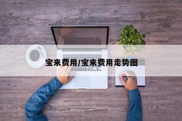 宝来费用/宝来费用走势图