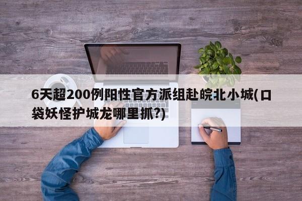 6天超200例阳性官方派组赴皖北小城(口袋妖怪护城龙哪里抓?)